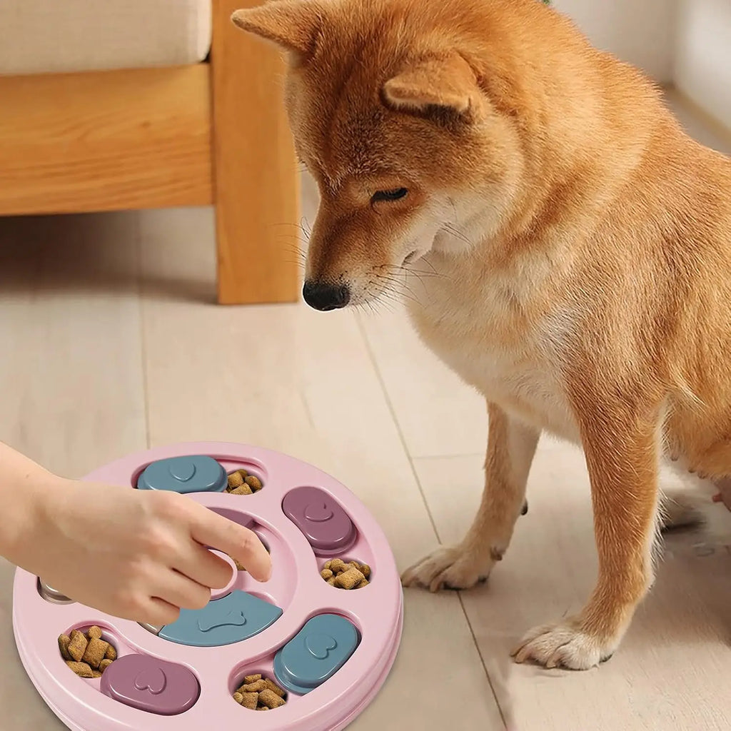 Puzzle Interactif pour Chien - Stimule l'Esprit et Distribue des Friandises !